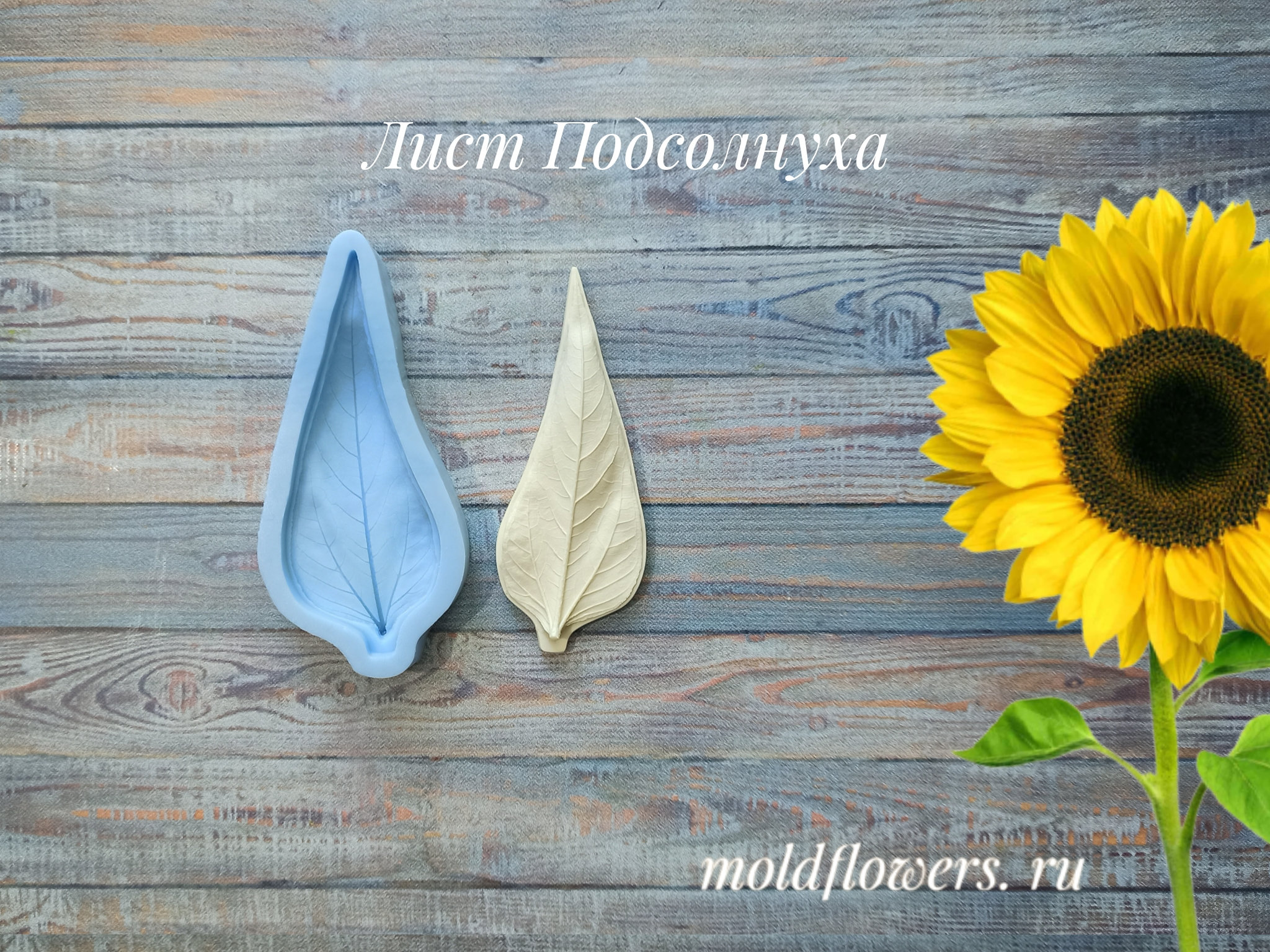 Листья подсолнуха